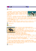 [체육] 승마의 모든것(유래, 역사, 규칙, 시설, 심판, 반칙, 용품, 용어)-2