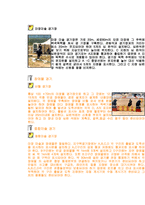 [체육] 승마의 모든것(유래, 역사, 규칙, 시설, 심판, 반칙, 용품, 용어)-5