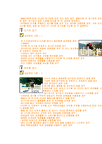 [체육] 승마의 모든것(유래, 역사, 규칙, 시설, 심판, 반칙, 용품, 용어)-8