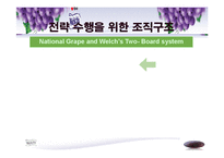 [경영학, 경영전략, 기업전략,] Welch’s 경영전략 분석-13
