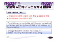 [경영학, 경영전략, 기업전략,] Welch’s 경영전략 분석-15