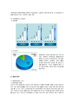 [마케팅] 글로벌 항공사 대한항공의 인터넷 마케팅전략-3