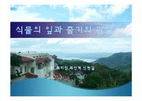 [생물학 실험] 식물의 잎과 줄기의 관찰-1