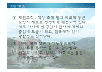 [생물학 실험] 식물의 잎과 줄기의 관찰-6