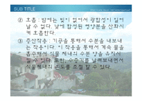 [생물학 실험] 식물의 잎과 줄기의 관찰-9