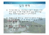 [생물학 실험] 식물의 잎과 줄기의 관찰-11