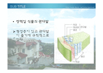 [생물학 실험] 식물의 잎과 줄기의 관찰-15