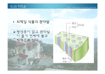[생물학 실험] 식물의 잎과 줄기의 관찰-16