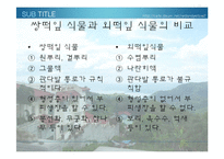 [생물학 실험] 식물의 잎과 줄기의 관찰-17