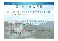 [생물학 실험] 식물의 잎과 줄기의 관찰-18