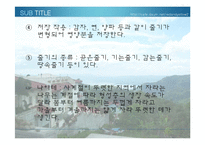 [생물학 실험] 식물의 잎과 줄기의 관찰-19