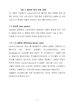 [생물학]식물의 광합성 경로-3