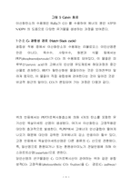 [생물학]식물의 광합성 경로-6