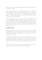 [이라크전쟁]이라크전쟁과 향후전망(포로학대.테러.추가파병)-8