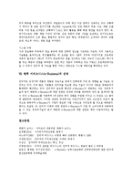 [이비즈니스, e-business] 이비즈니스(e-business)의 정의, 유형과 이비즈니스(e-business)의 현황, 전략, 문제점 및 이비즈니스(e-business)의 전망 분석(사례 중심)-13