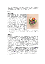 [식물과학] 인간의 생활을 윤택하게 하는 식물-5