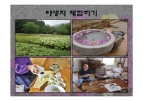 [관광 마케팅 상품] 한류관광 `에덴의 동쪽`의 관광상품 전략-8