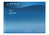 [조직이론, 조직구조, 조직문화] 나이키 NIKE 의 조직구조, 조직문화-12