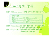 [근육, 생리학, 근육계, 근피로, 설명자료,] 생리학:근육계-3