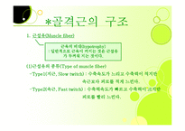 [근육, 생리학, 근육계, 근피로, 설명자료,] 생리학:근육계-5