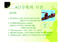 [근육, 생리학, 근육계, 근피로, 설명자료,] 생리학:근육계-11