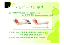 [근육, 생리학, 근육계, 근피로, 설명자료,] 생리학:근육계-12