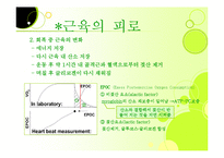 [근육, 생리학, 근육계, 근피로, 설명자료,] 생리학:근육계-15