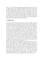 [인신구속제도, 긴급체포제도] 인신구속제도의 변천, 기본원칙, 운영현황과 인신구속제도의 문제점, 긴급체포제도의 문제점 및 향후 인신구속제도, 긴급체포제도의 개선방안 분석-4
