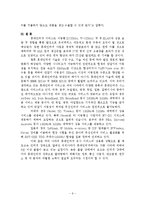 [정보통신] 휴대인터넷(Wibro)의 현황과 발전방향-9