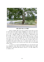 [기행문] [감상문,기행문]우리 마을의 역사를 찾아서-2