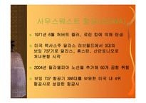 [경영] Southwest Airlines의 고객만족 경영성공사례-3