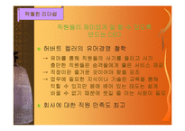 [경영] Southwest Airlines의 고객만족 경영성공사례-19