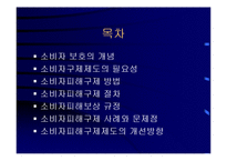 [경영] 소비자 피해 구제제도의 문제점과 개선방안-2