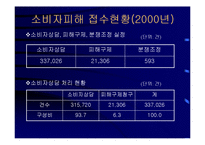 [경영] 소비자 피해 구제제도의 문제점과 개선방안-4