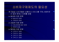 [경영] 소비자 피해 구제제도의 문제점과 개선방안-7