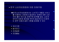 [경영] 소비자 피해 구제제도의 문제점과 개선방안-10