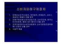 [경영] 소비자 피해 구제제도의 문제점과 개선방안-12