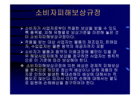 [경영] 소비자 피해 구제제도의 문제점과 개선방안-13