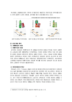 [마케팅관리] [마케팅관리]펩시의 후발브랜드 마케팅전략 분석(A+리포트)-5