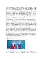 [마케팅관리] [마케팅관리]펩시의 후발브랜드 마케팅전략 분석(A+리포트)-19
