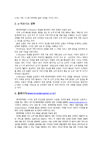 [마케팅] [마케팅]현대캐피탈 마케팅성공사례-2
