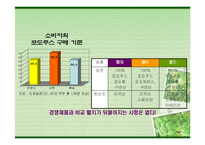 [마케팅] [마케팅]구매력 강화를 위한 웰치스(Welch`s) 커뮤니케이션전략(A+리포트)-13