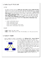 [국제경영론] 다국적기업 경영철학 FEDEX-6