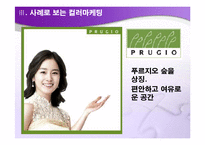 컬러마케팅(Color Marketing)-11