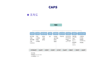 [HRM] 보안서비스 CAPS 인적자원관리-9