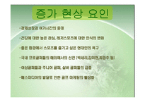 [스포츠관광] 골프 연구-10