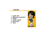[마케팅조사] 맥스 Max의 시장 확산 전략 수립-2