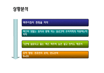 [마케팅조사] 맥스 Max의 시장 확산 전략 수립-4