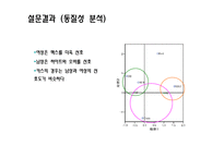 [마케팅조사] 맥스 Max의 시장 확산 전략 수립-15