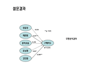 [마케팅조사] 맥스 Max의 시장 확산 전략 수립-17